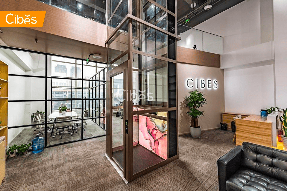 Thang máy gia đình cao cấp 